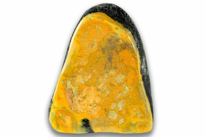 Very Vibrant, Free-Standing Polished Bumblebee Jasper #324940